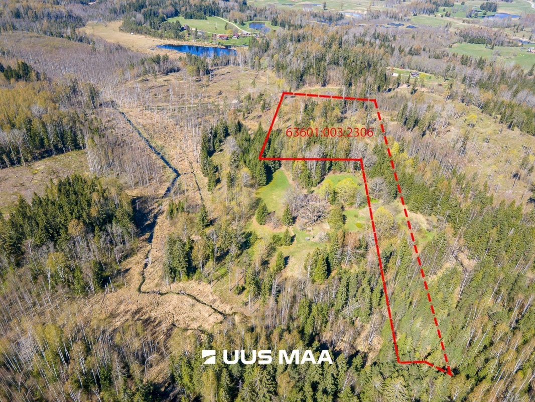 Otepää vald, Kaurutootsi küla, Oja-Piirindumäe