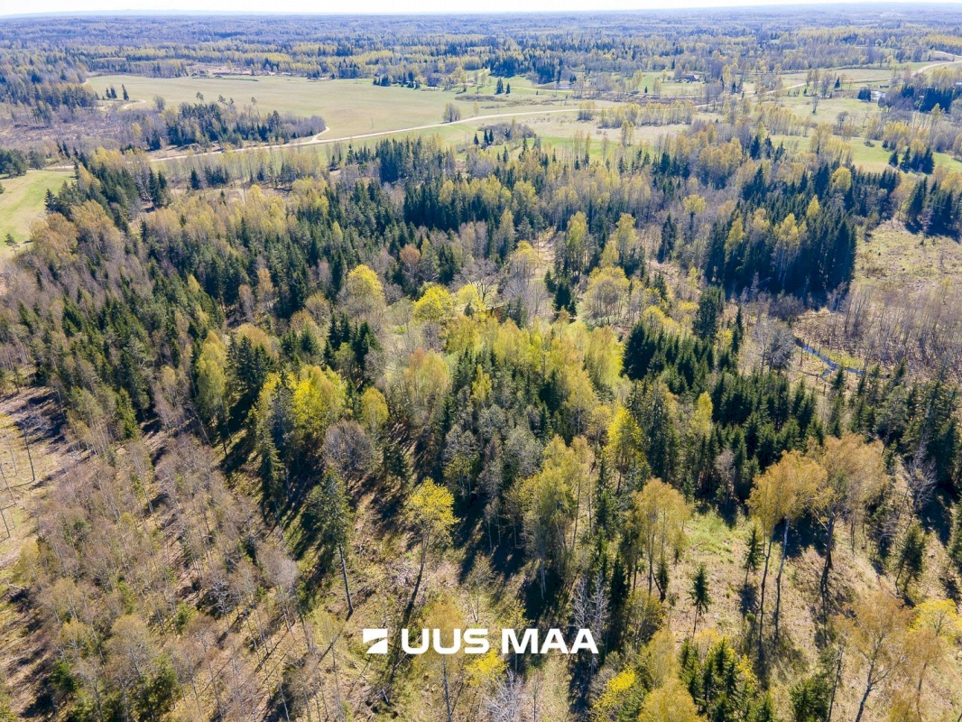 Otepää vald, Kaurutootsi küla, Oja-Piirindumäe
