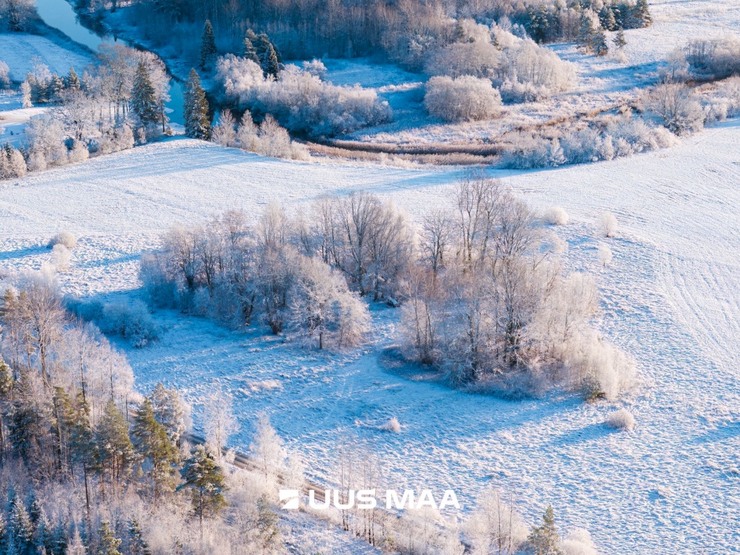 Märjamaa vald, Konuvere küla, Välja