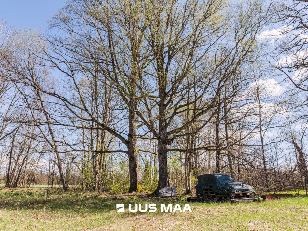 Märjamaa vald, Konuvere küla, Välja