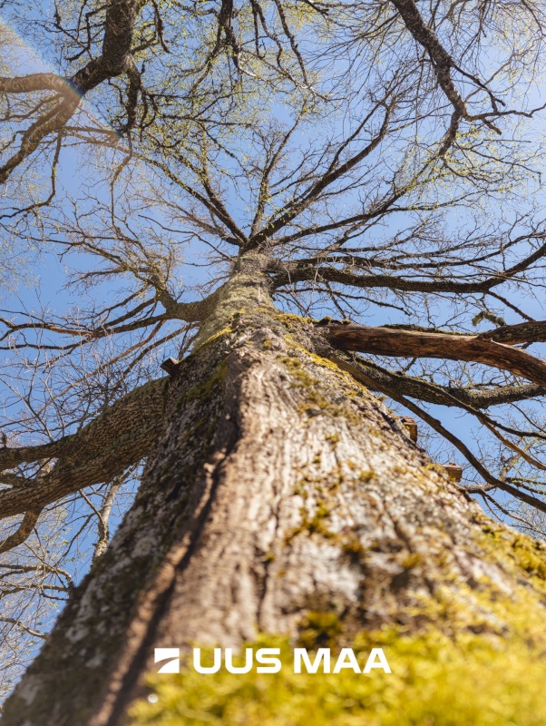 Märjamaa vald, Konuvere küla, Välja