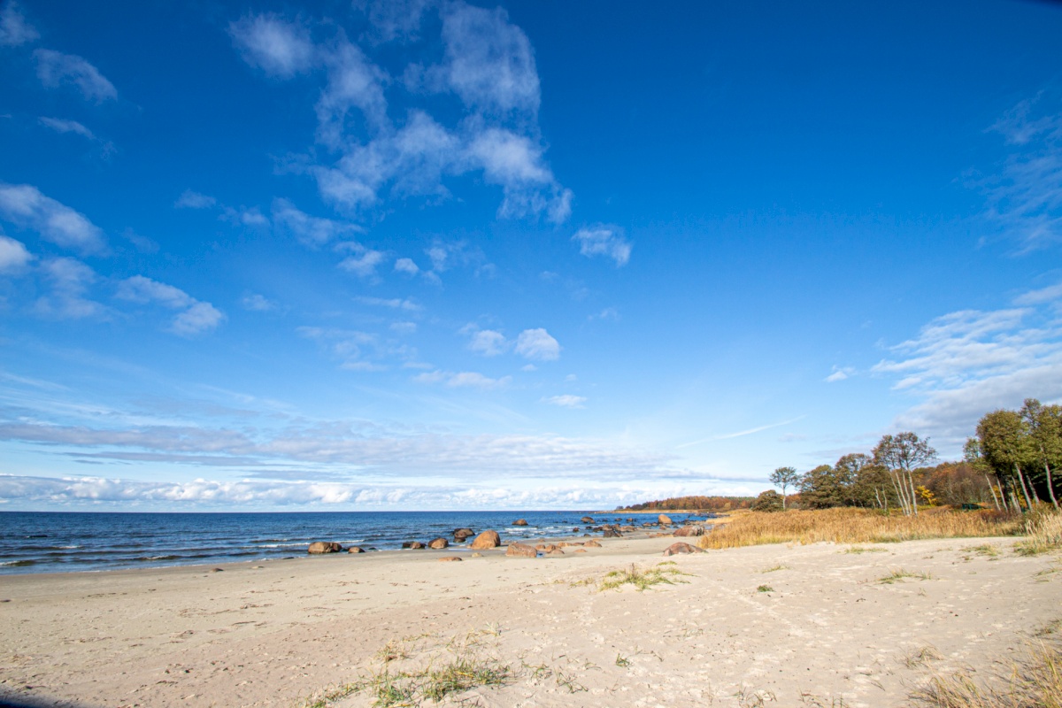 Harku vald, Vääna-Jõesuu küla, Männimetsa tee 4