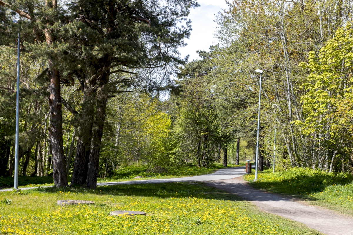 Tallinn, Pirita linnaosa, Haljas tee 22