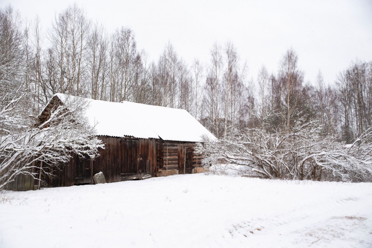 Rõuge vald, Kuutsi küla, Maasikmäe