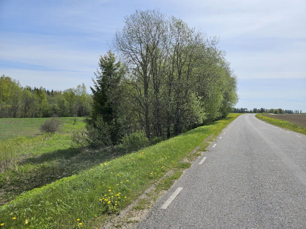 Vinni vald, Mõdriku küla, Uduvälja