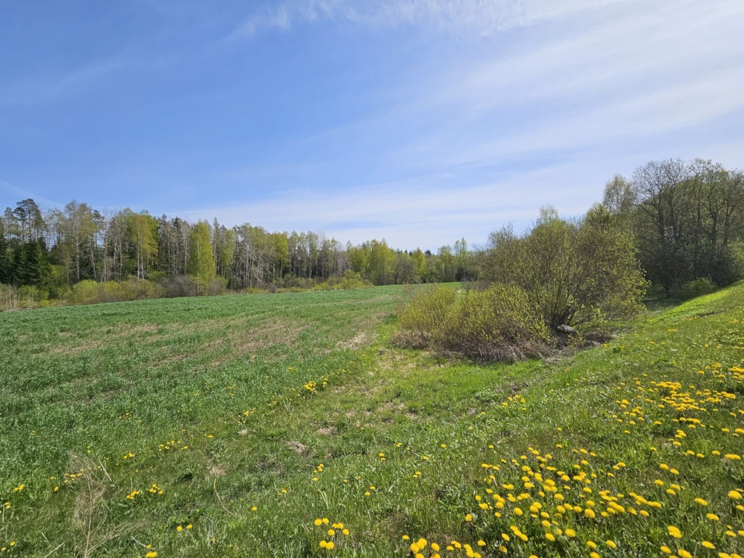 Vinni vald, Mõdriku küla, Uduvälja