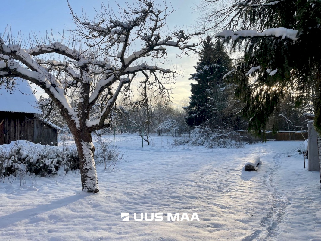 Lääne-Nigula vald, Võntküla