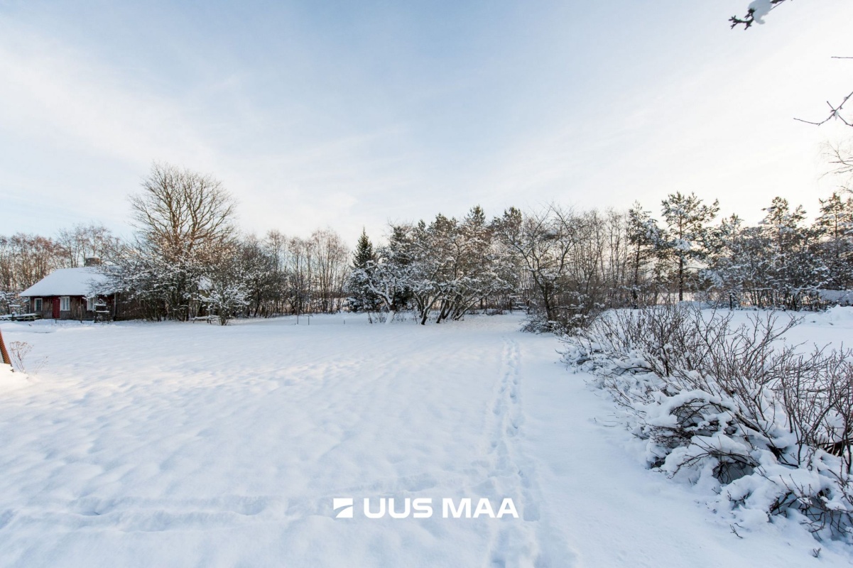 Lääne-Nigula vald, Võntküla