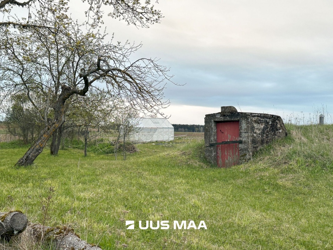 Kadrina vald, Ridaküla, Miku-Jaani