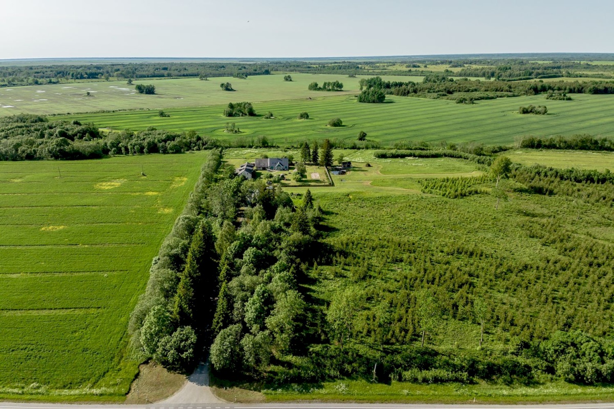 Lääneranna vald, Hälvati küla, Raudsepa