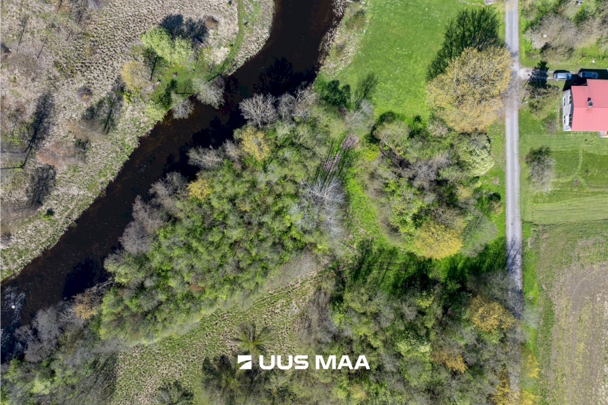 Türi vald, Türi-Alliku küla, Veski tee 6