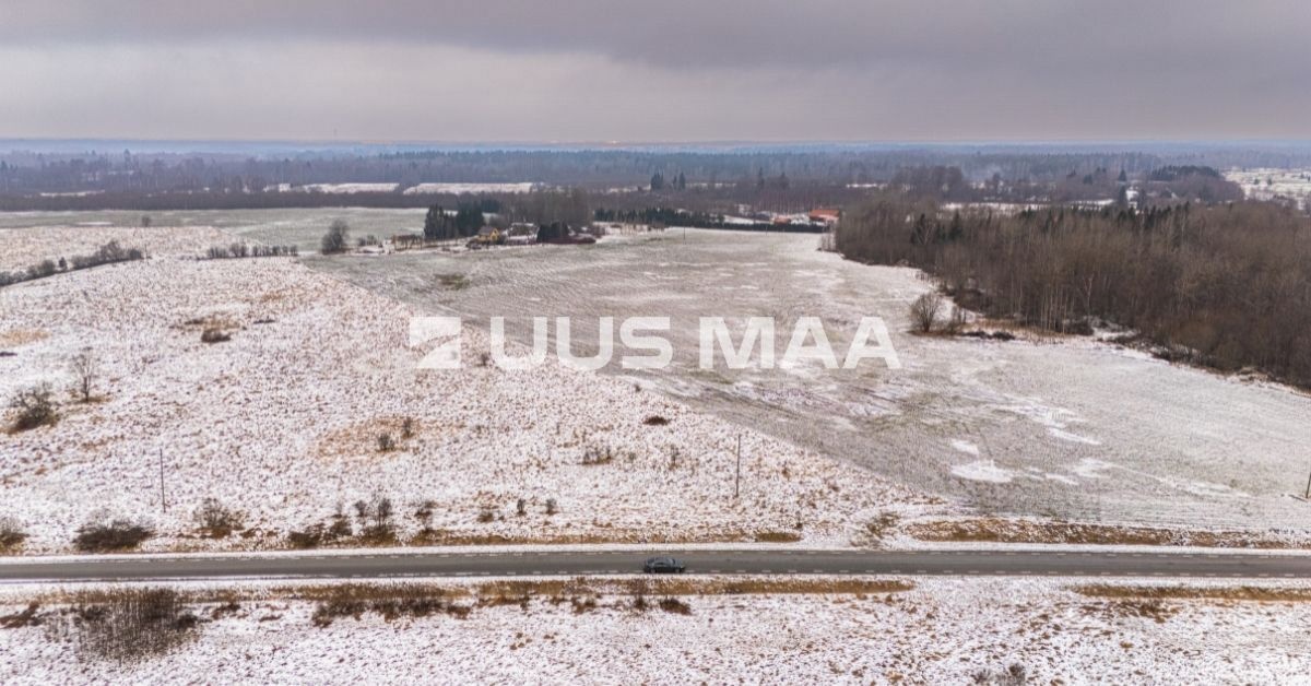 Rae vald, Suuresta küla, Vanatammi 14