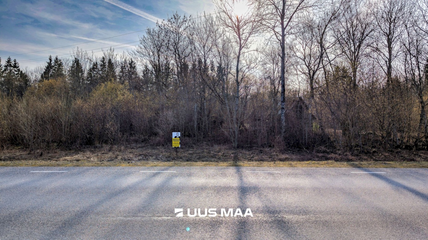 Lääne-Nigula vald, Allikotsa küla