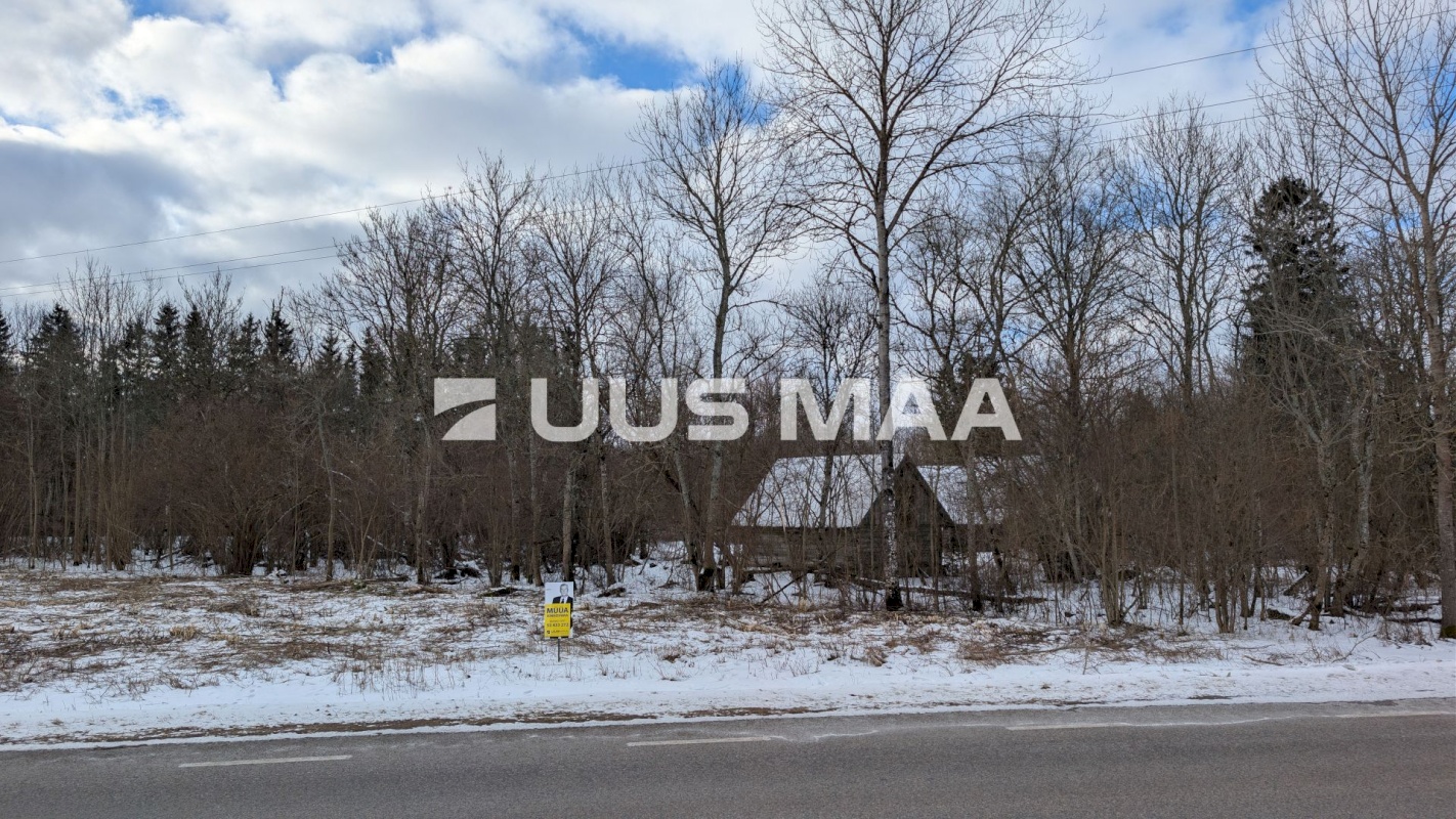 Lääne-Nigula vald, Allikotsa küla