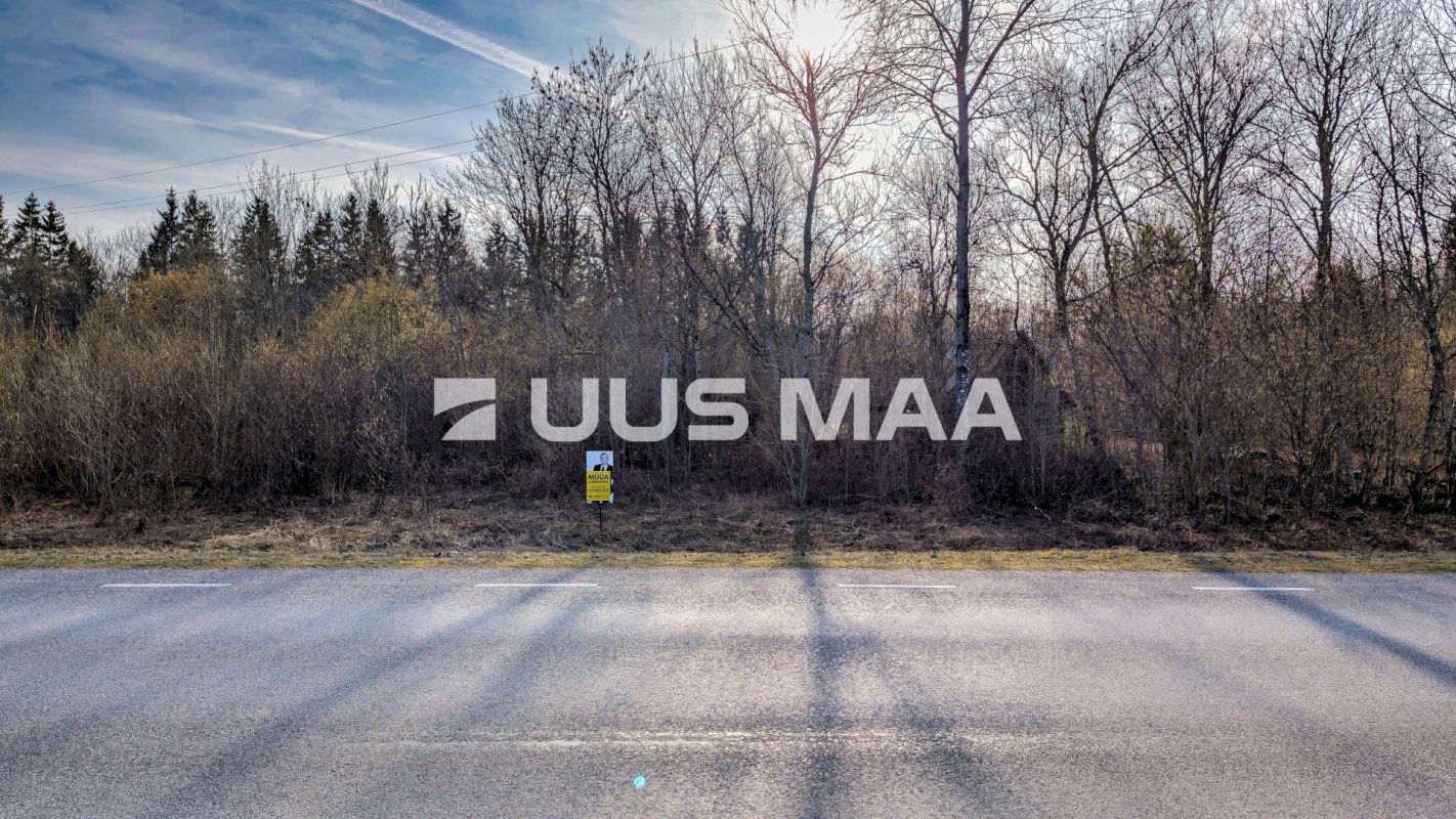 Lääne-Nigula vald, Allikotsa küla