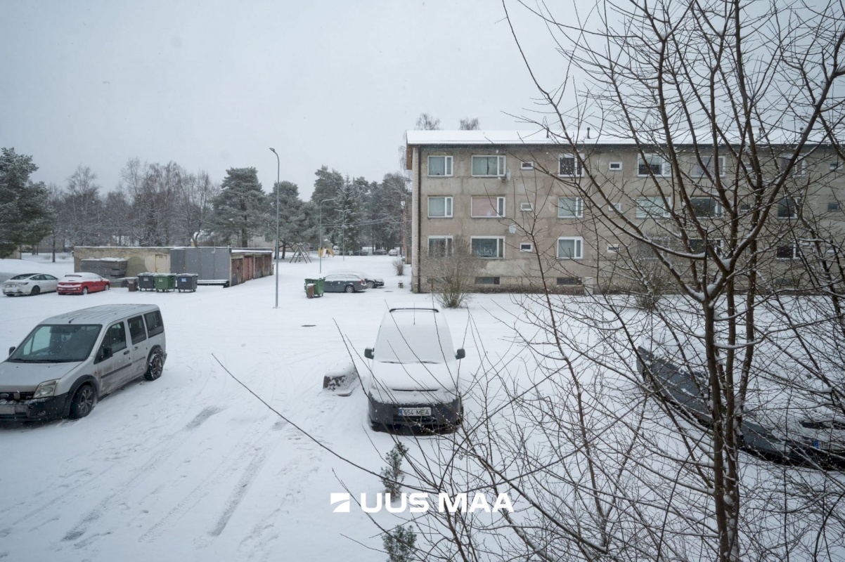 Lääne-Nigula vald, Palivere alevik, Põllu 8