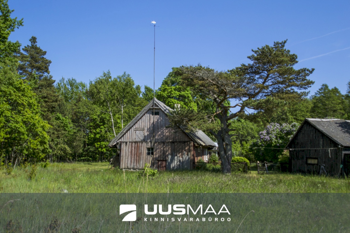 Saaremaa vald, Kaavi küla, Ristipõllu,  Kadaka,  Põllu