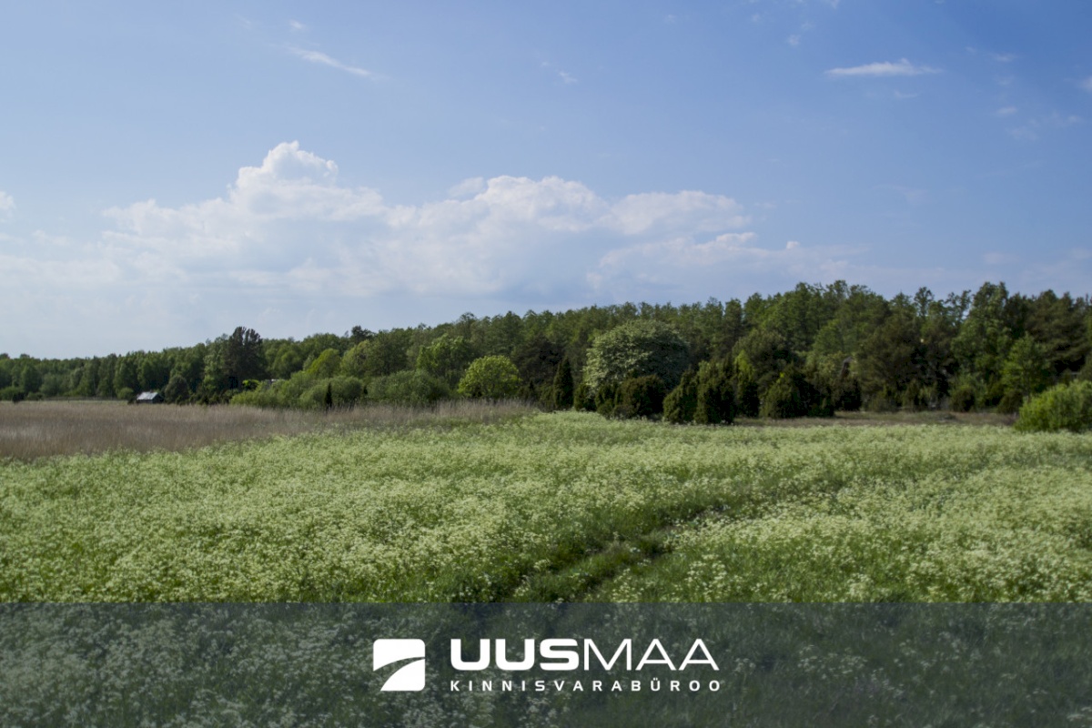 Saaremaa vald, Kaavi küla, Ristipõllu,  Kadaka,  Põllu