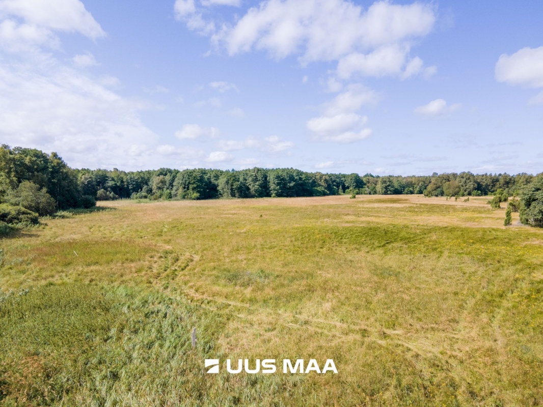 Saaremaa vald, Kaavi küla, Ristipõllu,  Kadaka,  Põllu