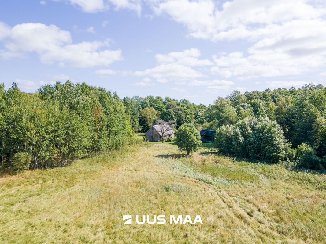 Saaremaa vald, Kaavi küla, Ristipõllu,  Kadaka,  Põllu