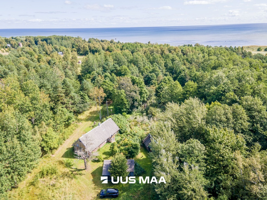 Saaremaa vald, Kaavi küla, Ristipõllu,  Kadaka,  Põllu