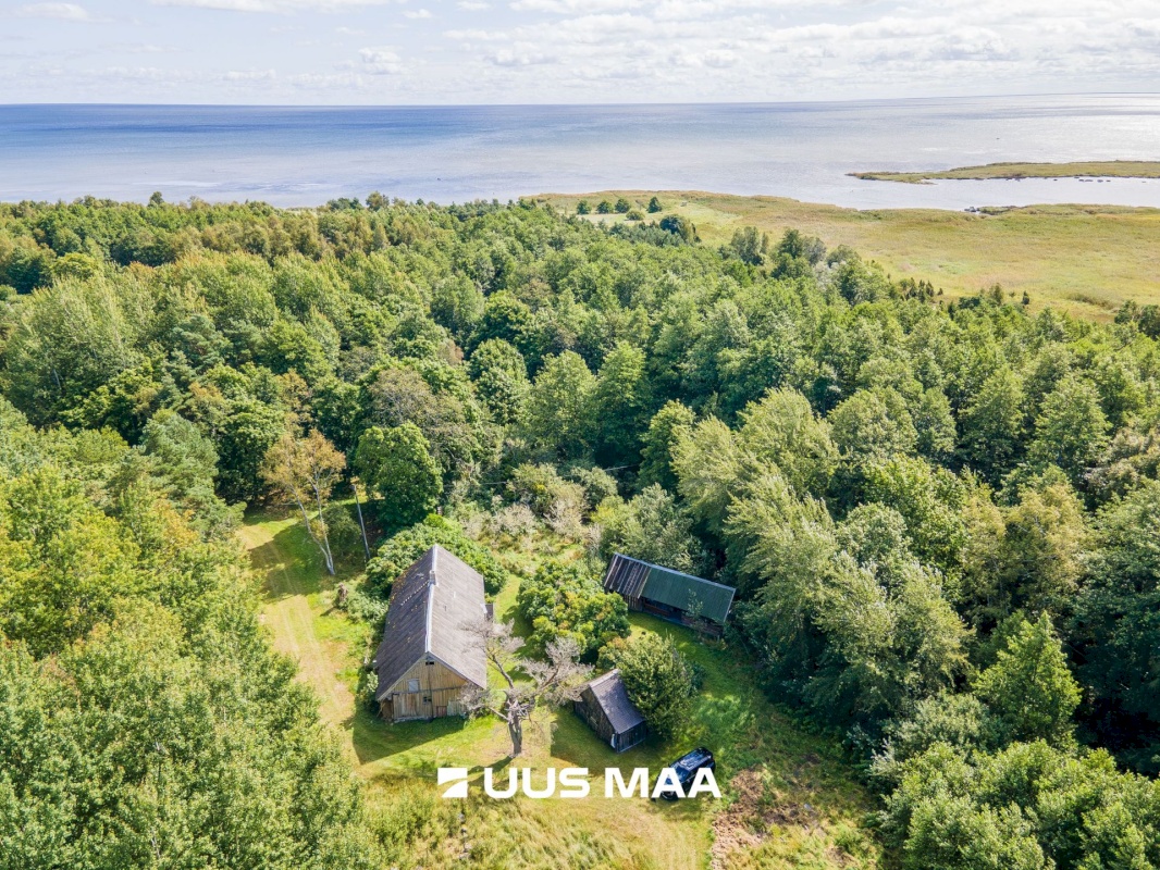 Saaremaa vald, Kaavi küla, Ristipõllu,  Kadaka,  Põllu