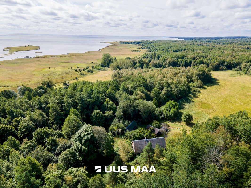 Saaremaa vald, Kaavi küla, Ristipõllu,  Kadaka,  Põllu