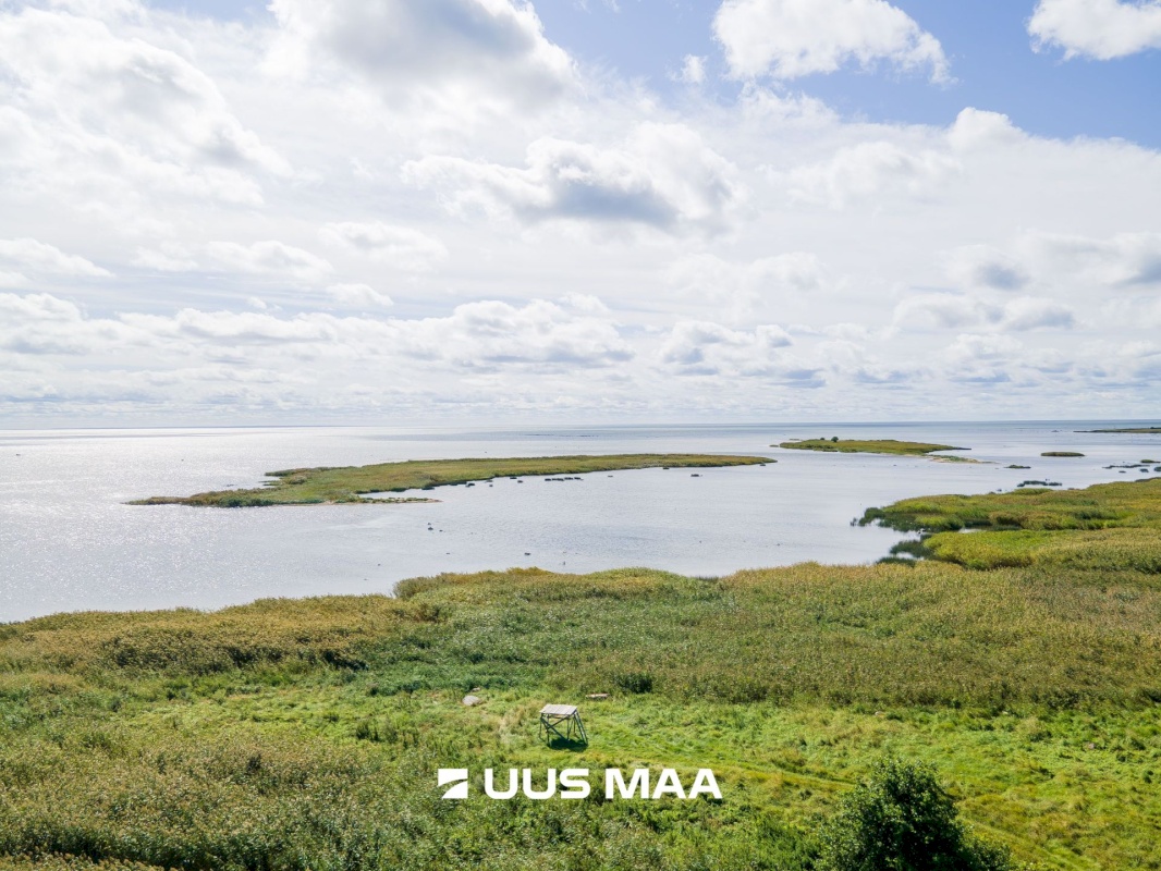 Saaremaa vald, Kaavi küla, Ristipõllu,  Kadaka,  Põllu