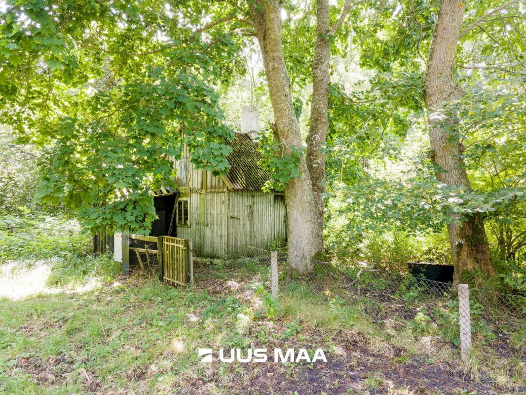 Saaremaa vald, Kaavi küla, Ristipõllu,  Kadaka,  Põllu