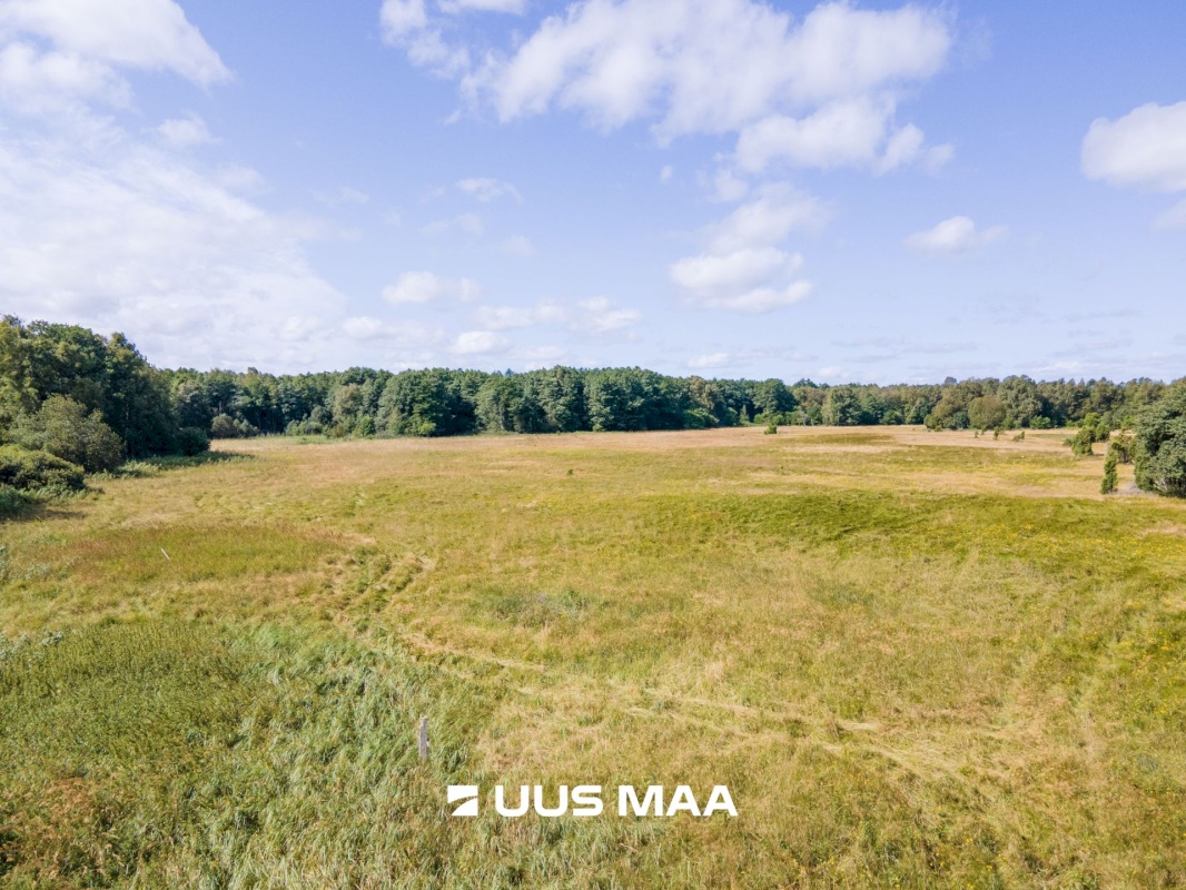 Saaremaa vald, Kaavi küla, Ristipõllu,  Kadaka,  Põllu