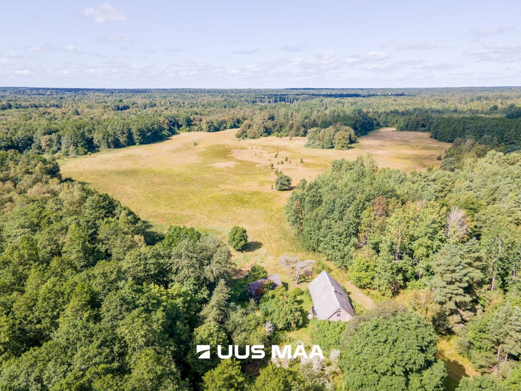 Saaremaa vald, Kaavi küla, Ristipõllu,  Kadaka,  Põllu