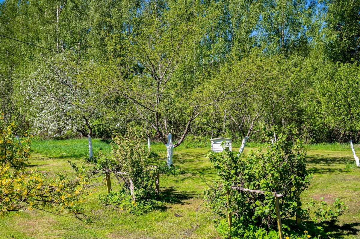 Anija vald, Pillapalu küla, Punamäe