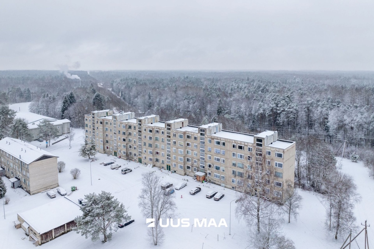 Lääne-Nigula vald, Palivere alevik, Põllu 8