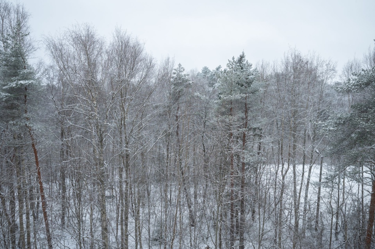 Lääne-Nigula vald, Palivere alevik, Põllu 8