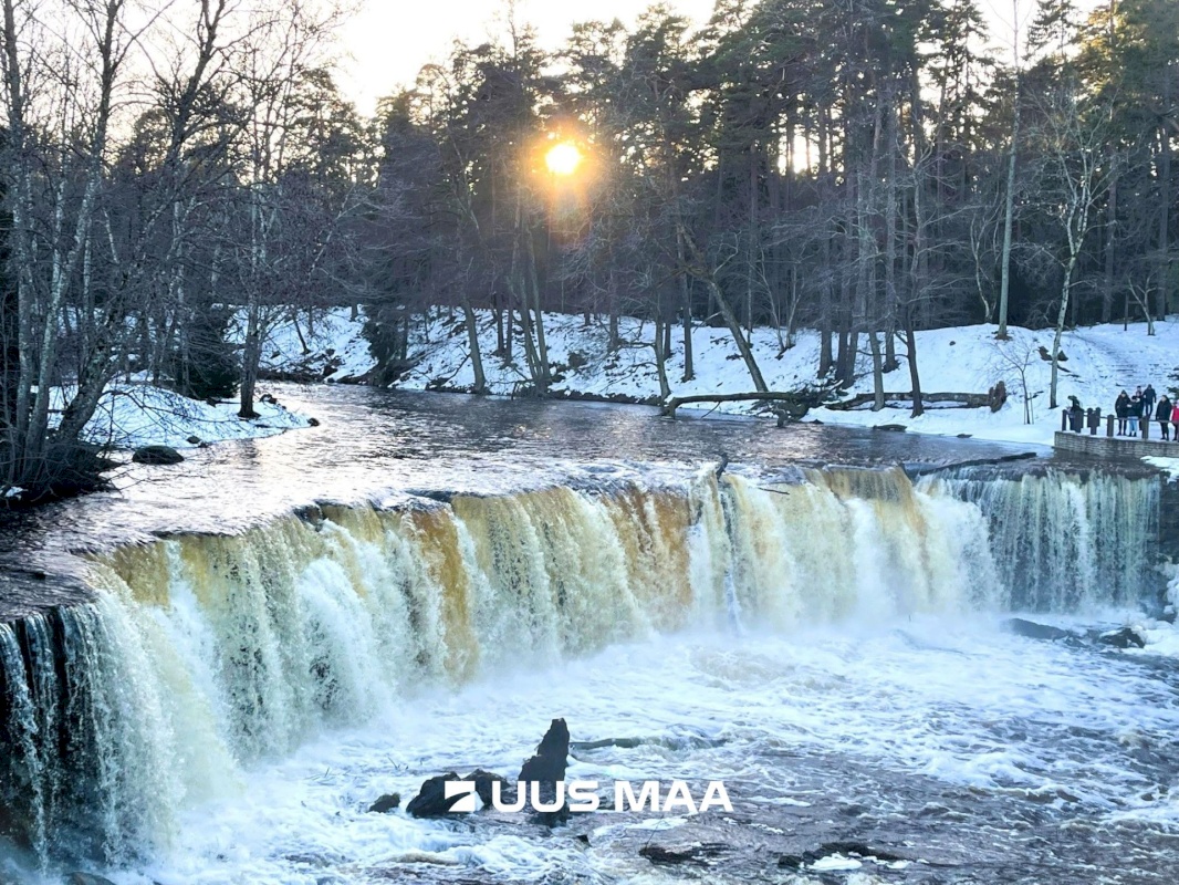 Harku vald, Türisalu küla, Lõunatuule tee 15