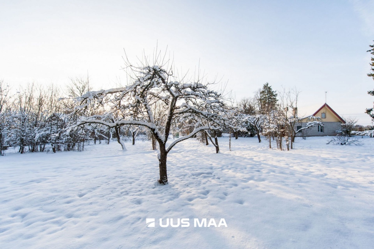 Lääne-Nigula vald, Võntküla