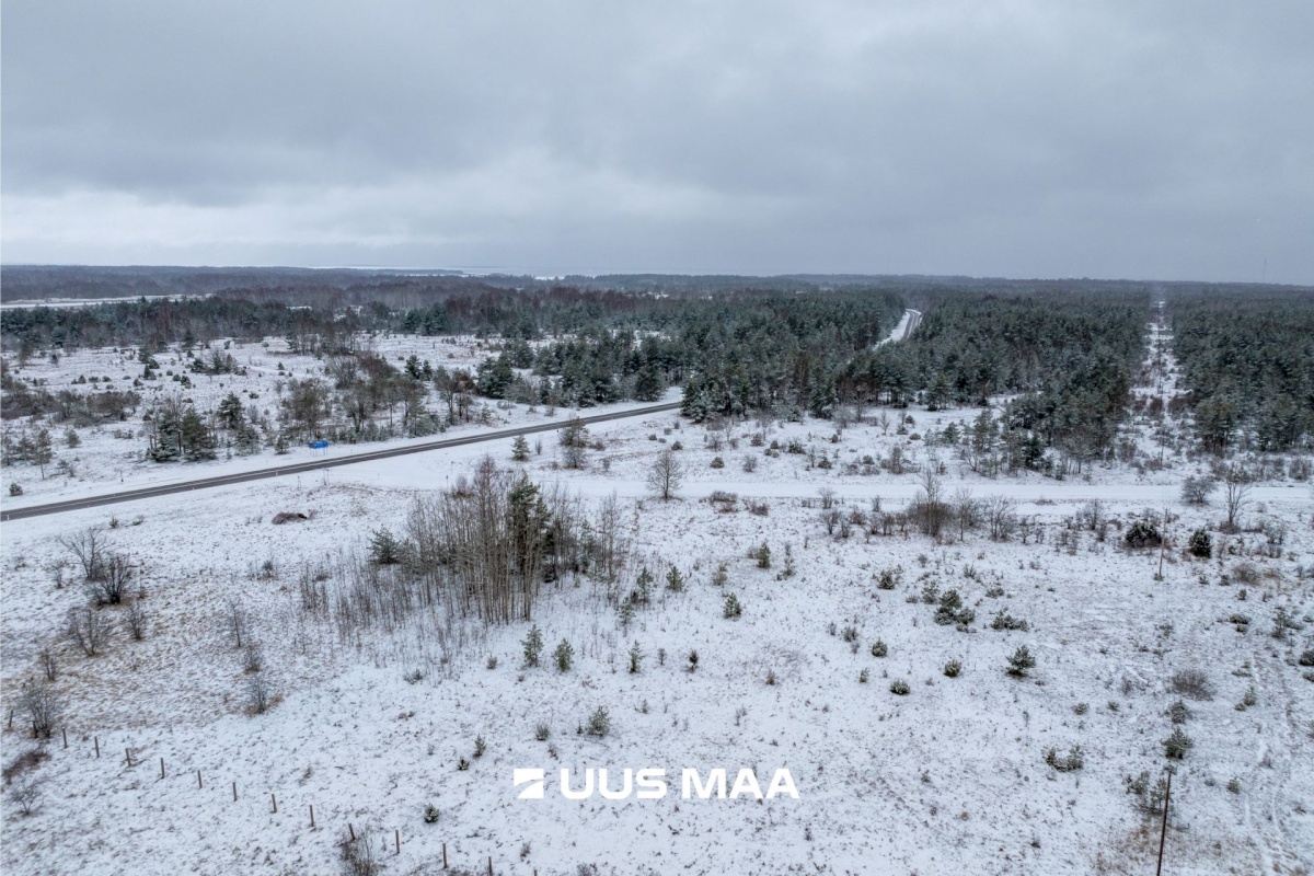 Haapsalu linn, Rohuküla, Krahvi tee 5