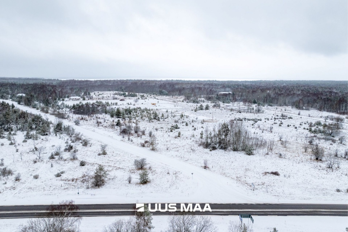 Haapsalu linn, Rohuküla, Krahvi tee 5