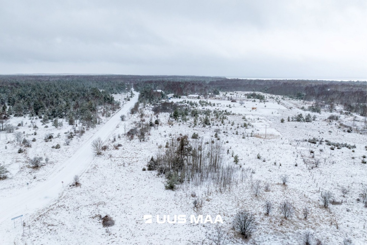 Haapsalu linn, Rohuküla, Krahvi tee 5