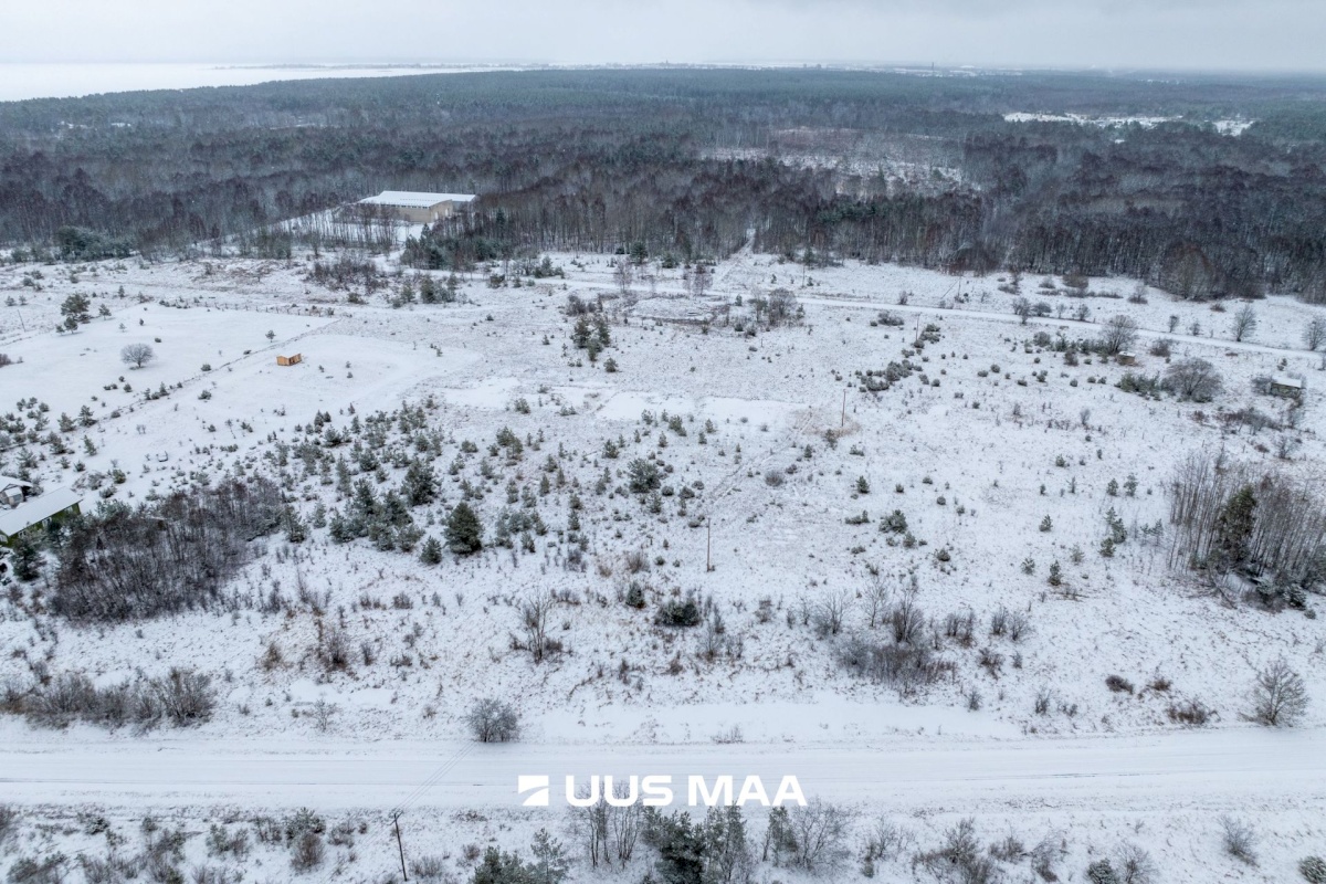 Haapsalu linn, Rohuküla, Krahvi tee 5