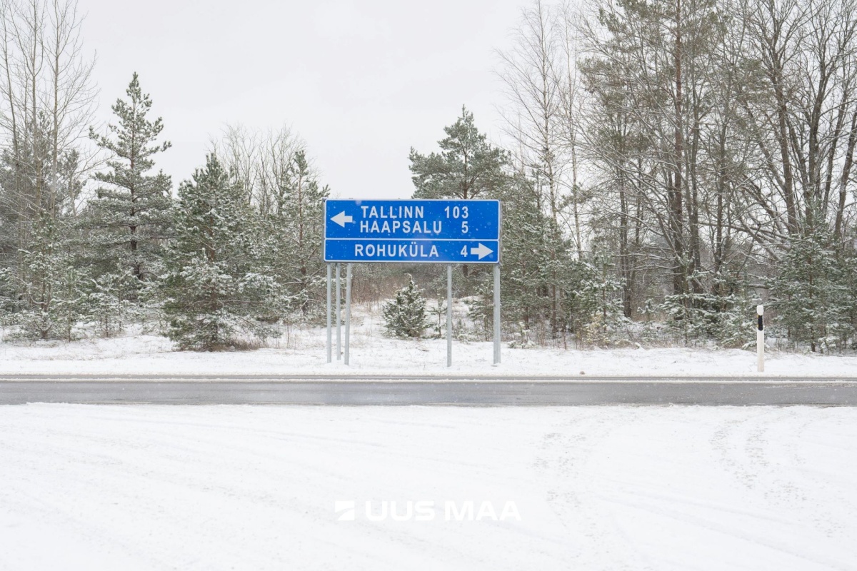 Haapsalu linn, Rohuküla, Krahvi tee 5