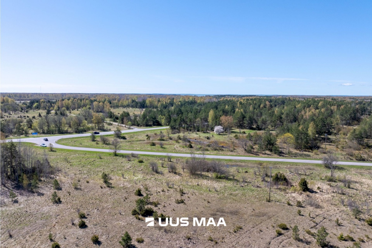 Haapsalu linn, Rohuküla, Krahvi tee 5