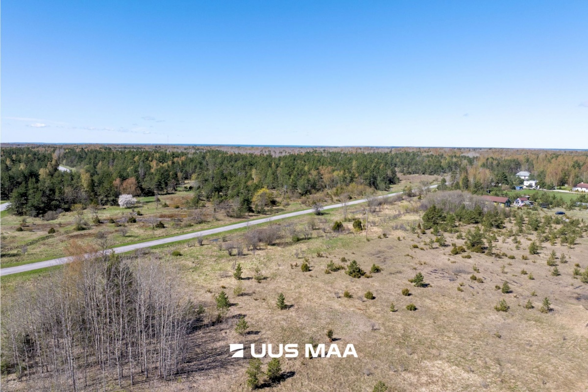Haapsalu linn, Rohuküla, Krahvi tee 5