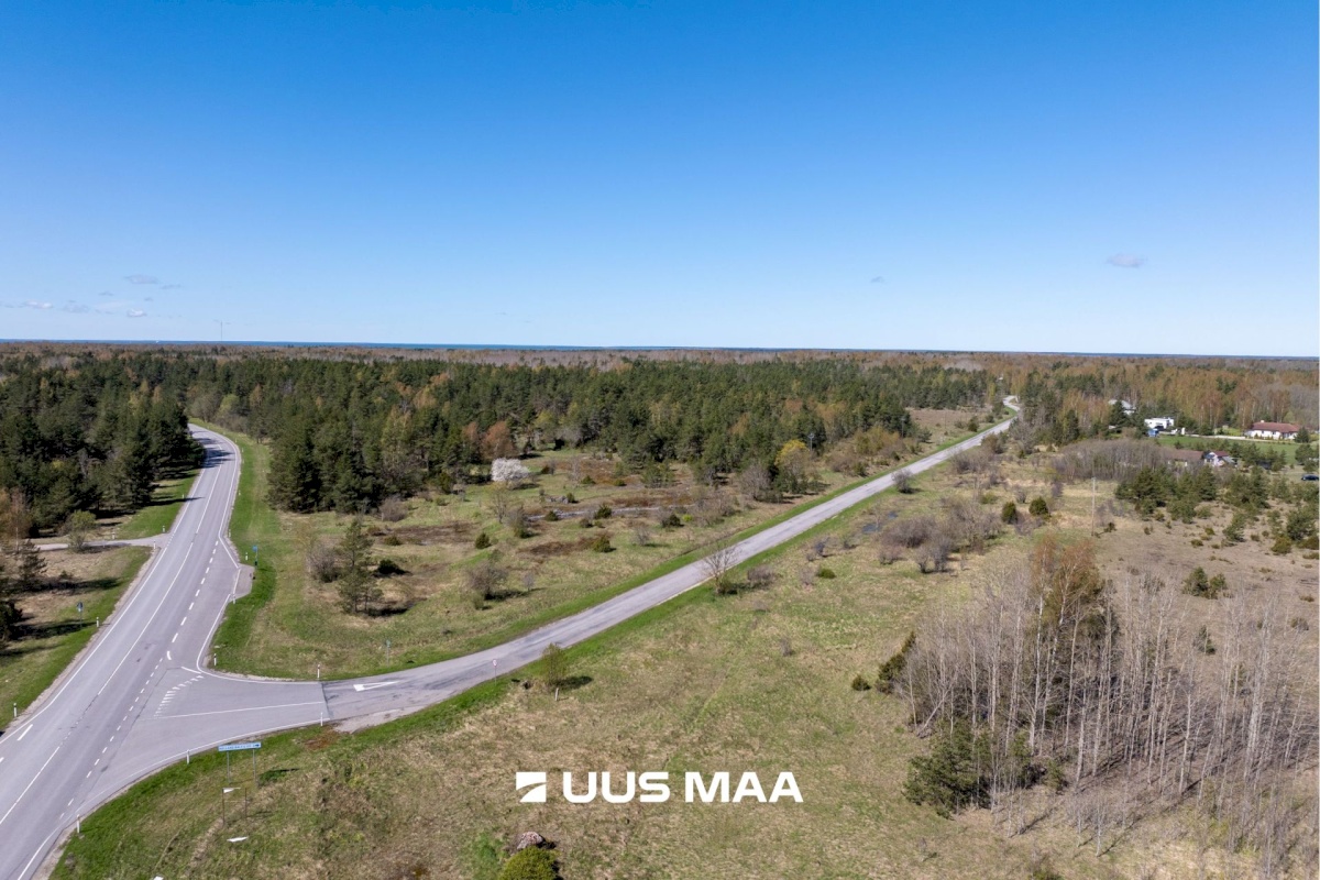 Haapsalu linn, Rohuküla, Krahvi tee 5