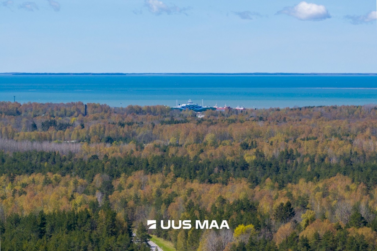 Haapsalu linn, Rohuküla, Krahvi tee 5