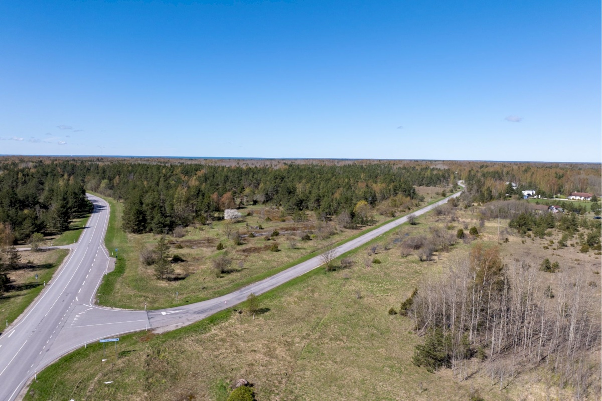 Haapsalu linn, Rohuküla, Krahvi tee 3