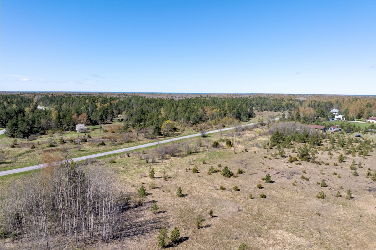 Haapsalu linn, Rohuküla, Krahvi tee 3