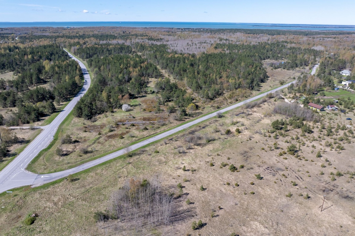 Haapsalu linn, Rohuküla, Krahvi tee 3