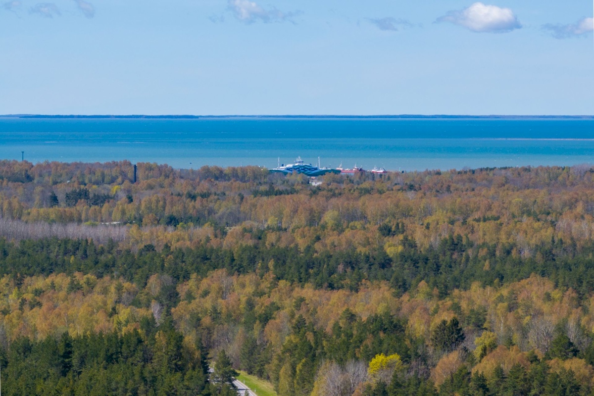 Haapsalu linn, Rohuküla, Krahvi tee 3
