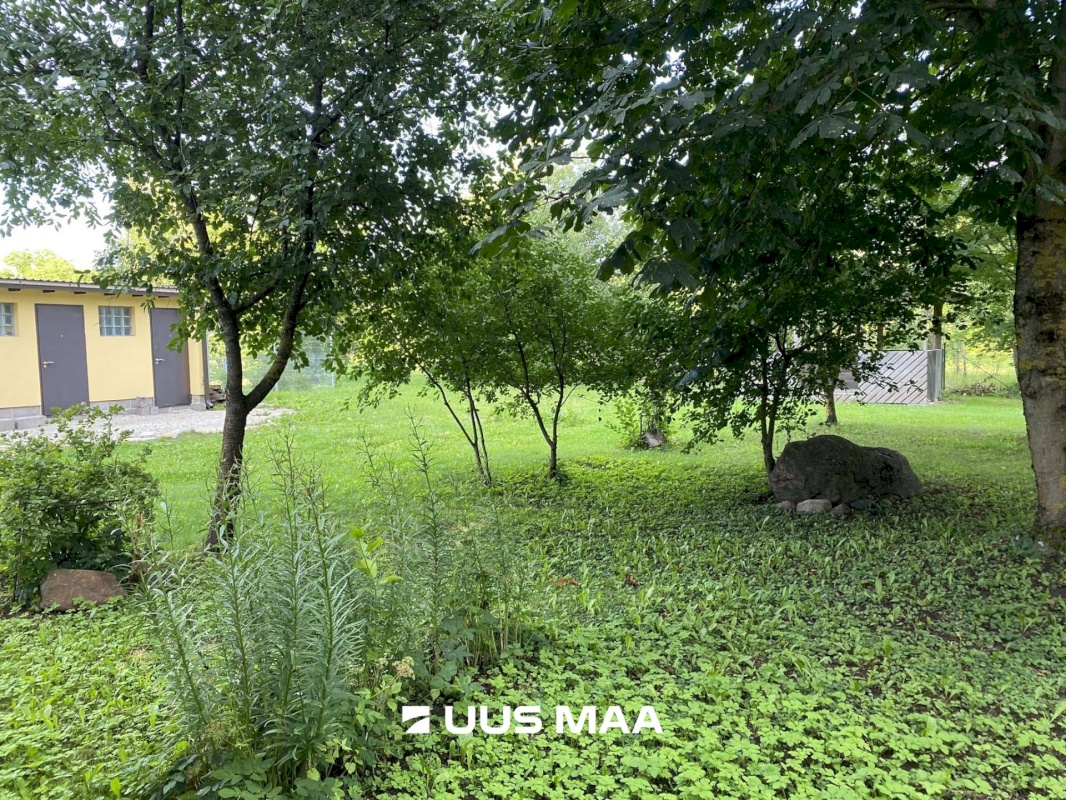 Tallinn, Kesklinna linnaosa, Valge 4c